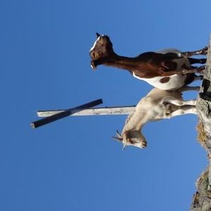 Karl-Heinz und Steffi