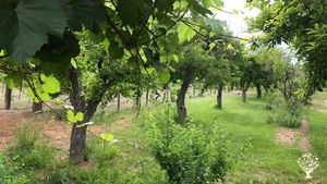 Regenerative Farmstead near Santa Fe