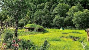 Ecological, self-sufficient (off-grid) farm in the forest