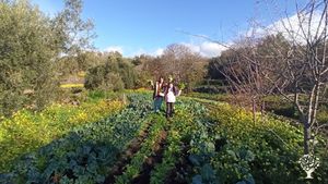 Casa familiare e giardino - rurale, Sito ecoturistico , Orto commerciale, Frutteto