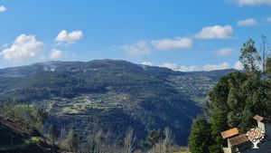 Permaculture project in the north of Portugal