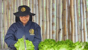 Hacienda el paraiso es un sueño que se crea mejorando cada aspecto de nuestra vida