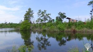 Five beautiful acres of pine forest and permaculture style gardens with a lake for swimming