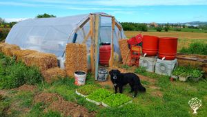 Casolare di campagna a Jesi (Ancona) con un bell' orto e animali da cortile e da compagnia