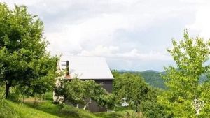 On our farm in Obod near Mojkovac, we keep 36 goats and produce traditional homemade goat cheese.