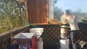 Herbal holistic homestead