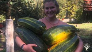 Amber from Canada, happy to help harvesting pumpkins given by our neighbors