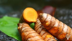 Association qui promeut l'agriculture respectueuse de l'homme et l'environnement dans les Caraïbes