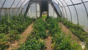 A yoga and meditation ashram  and small organic farm in the countryside west of Copenhagen
