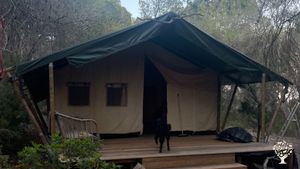 Regenerative farmhouse in the forest of Ibiza