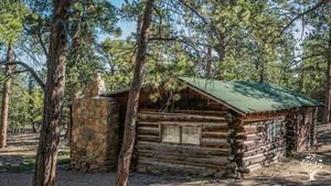 Homestead, Remote study opportunities, Remote volunteer opportunities