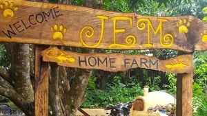 Practicing organic and regenerative farming, mushroom culture and hydroponics