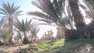 Come help us to build our guest house family in Tagounite and discover berber culture