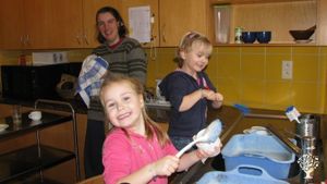 Village community, bio-dynamic farm, social insertion