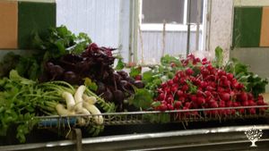 Ferme familiale