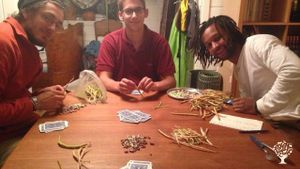 Family home and garden - rural