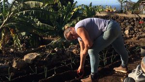 Villa Isabel es una finca en pleno periodo de transición,  platanera tradicional a eco agricultura.
