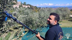 Azienda agricola biologica nelle colline marchigiane che produce vino di Visciola e olio