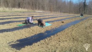 Azienda agricola/Boschiva, Centro Educativo, Sito ecoturistico