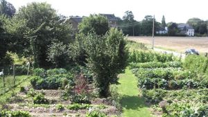 Un potager partagé qui produit des légumes et liens sociaux