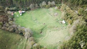 Smallholding, Orchard, Family farm