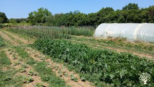 Micro ferme en maraichage bio dans le Gard