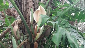 Casa contadina in campo biodinamico