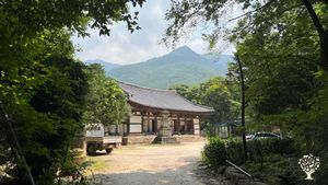 <JN111>지리산 자락의 녹색 물결, 차밭 /The Green Waves of Jirisan Foothills, Tea Plantation