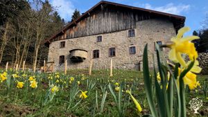 Ferme authentique , élevage alpagas, moutons et chiens.
