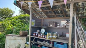 Living community with permaculture garden