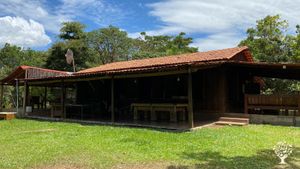 Agroforestry Organic Coffee Cacau Focused Farm