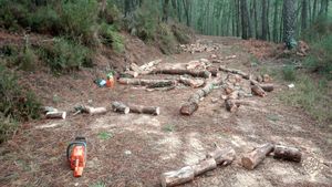 Eco Retreat, Mixed Farm