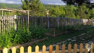 Çam Ormanı İçinde İzole Yaşam Alanı