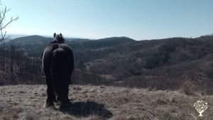 Between hills and woods its a beatifull nature with the wonderfull simplity of life!