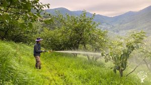 <JN127>삶과 예술이 함께하는 농장 / A Farm Where Life and Art Come Together