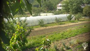 Une ferme agroécologique certifiée AB
