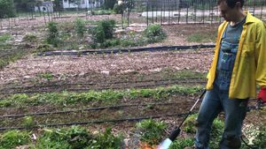 Some of the ways we control weeds are burning and smothering them with cardboard and mulch