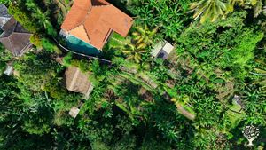 Permaculture Organic/Regenerative Farming & Workshops