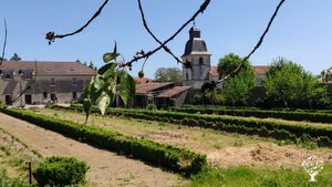 Collectif engagé dans la transition