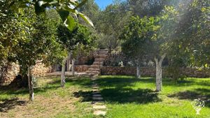 Charming Ibiza farm seeking volunteers to grow flowers, tend gardens, enjoy life with animals