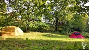 Camping if there is more than one wwoofer or if you want your own space away from our small house