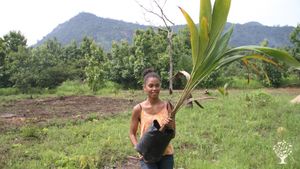 Educational Centre, Agritourism Destination, Smallholding, Market Garden, Fruit tree nursery