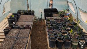 propagation station