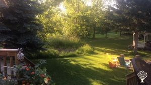 Family home and garden - rural, Hobby Farm, Market Garden, Flower Garden Farm, Horse Ranch, Orchard