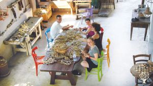 Destinazione Agrituristica, Produzione ortaggi