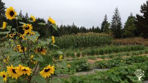 Certified organic farm and independent, multi-faith monastic community in Sonoma County, CA