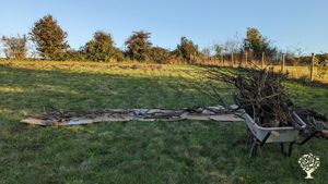 New small holding with fields, orchard & wooded area