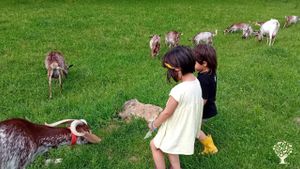 Granja ecologica en Ripoll. Ganado propio (cabras) y huerta. Fabricación de productos lácticoss