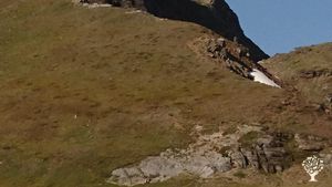 Family farm, Community farm