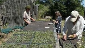 Homestead, Orchard, Vegetables, Market / CSA, Remote study opportunities
